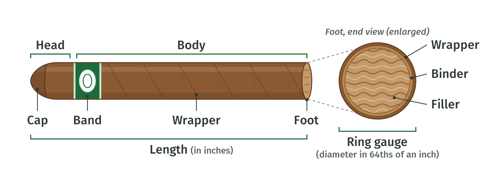 The parts of a cigar.
